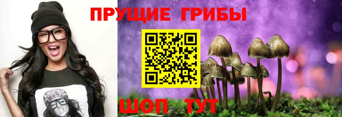 Галлюциногенные грибы Psilocybe  Вход с VPN  Псилоцибиновые грибы прущие грибы  Еманжелинск 