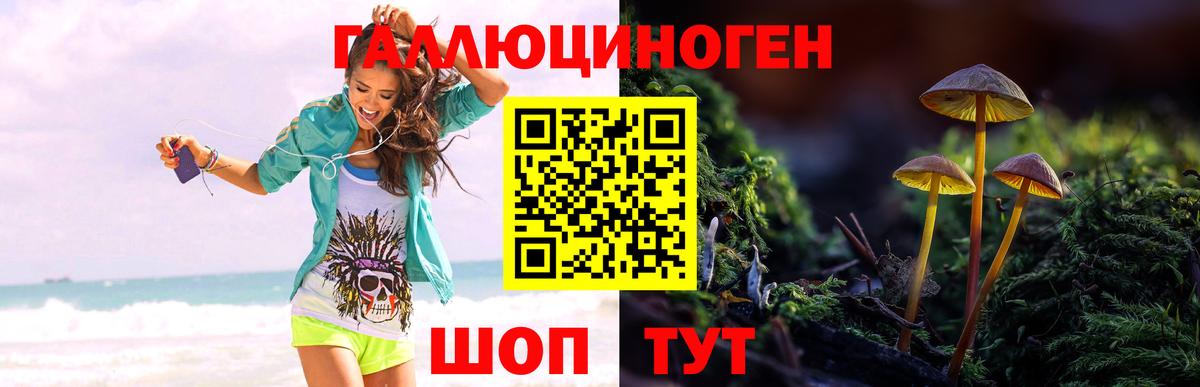 Галлюциногенные грибы мицелий Еманжелинск
